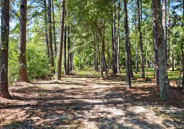 Homes for sale in Robert, LA | E Hwy 190 Hwy, Robert, LA 70455 | MLS# 2469869