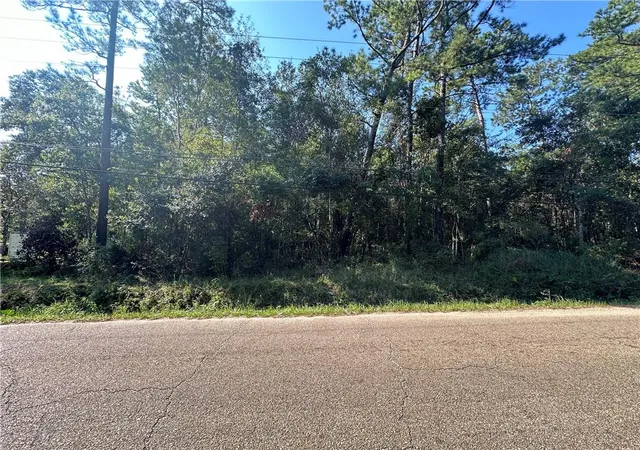 Homes for sale in Slidell, LA | Lots 2 4, 15 18 N 3rd Ave, Slidell, LA 70458 | MLS# 2471287