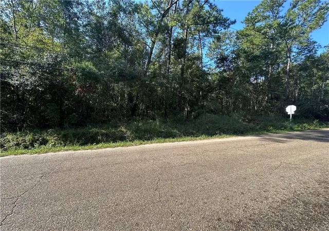 Homes for sale in Slidell, LA | Lots 2-4, 15-18 N 3Rd Ave, Slidell, LA 70458 | MLS# 2471287