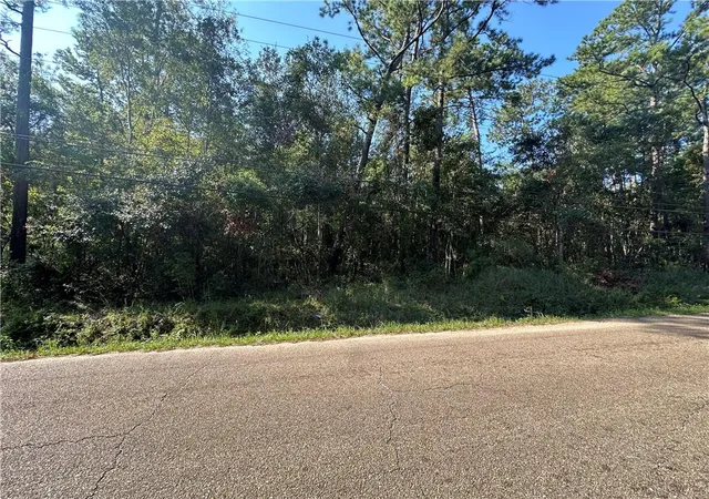 Homes for sale in Slidell, LA | Lots 2-4, 15-18 N 3Rd Ave, Slidell, LA 70458 | MLS# 2471287