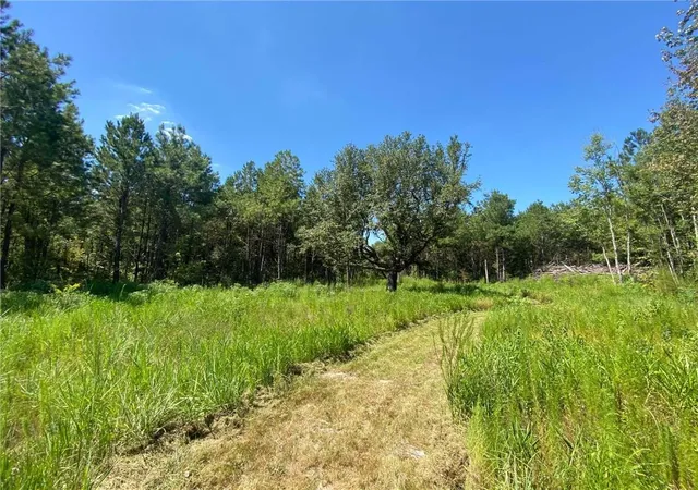 Homes for sale in Holden, LA | 29424 George White Rd, Holden, LA 70744 | MLS# 2474961