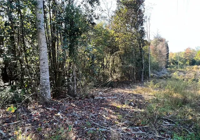 14th image of 93 Acres Laverne Crain Rd, Angie, LA 70426 | MLS# 2479165