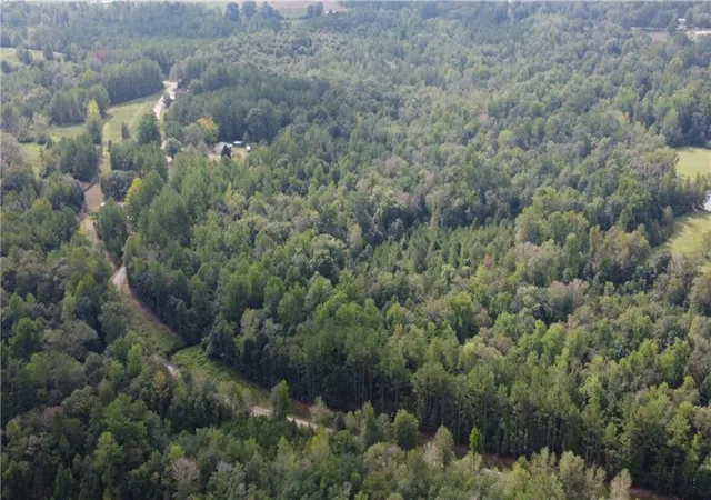 1st image of 93 Acres Laverne Crain Rd, Angie, LA 70426 | MLS# 2479165