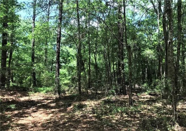 Photo 3 of Land for sale at 93 Acres Laverne Crain Rd, Angie, LA 70426 | MLS# 2479165 | Listing updated on 2026-07-09