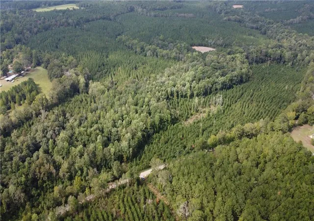Photo 4 of Land for sale at 93 Acres Laverne Crain Rd, Angie, LA 70426 | MLS# 2479165 | Listing updated on 2026-07-09