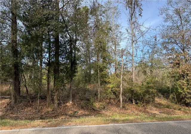 Homes for sale in Pearl River, LA | Hwy 36 Hwy, Pearl River, LA 70452 | MLS# 2482208