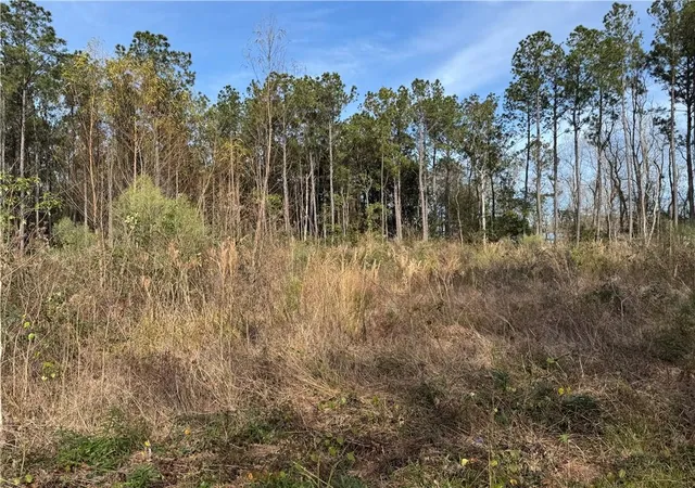 Photo 1 of Land for sale at Coci Rd, Pearl River, LA 70452 | MLS# 2482212 | Listing updated on 2026-07-18
