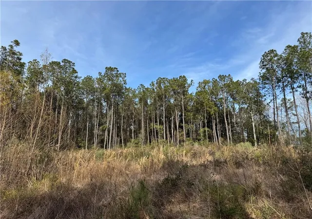 Photo 3 of Land for sale at Coci Rd, Pearl River, LA 70452 | MLS# 2482212 | Listing updated on 2026-07-18