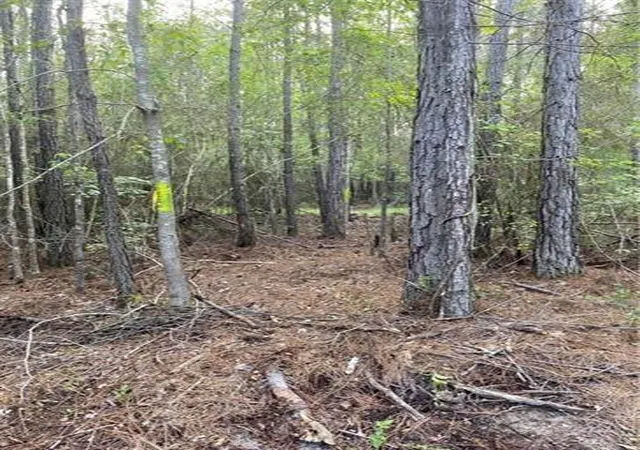 3rd image of 0 Henderson Rd, Covington, LA 70433 | MLS# 2483992