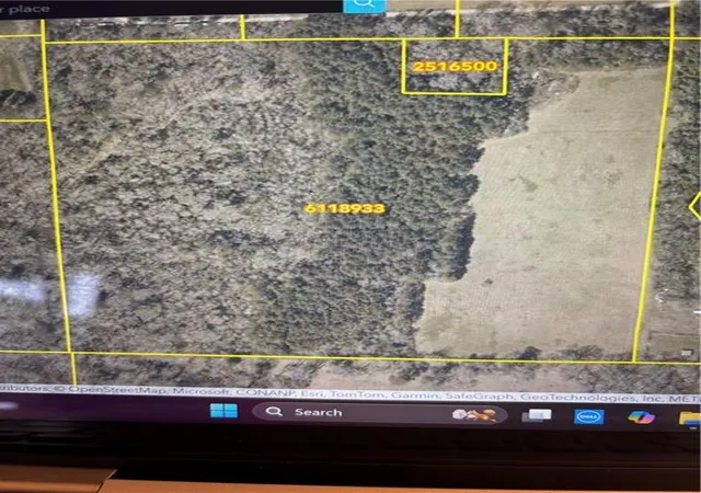 Homes for sale in Independence, LA | 40 Acres Durbin Rd, Independence, LA 70443 | MLS# 2479491