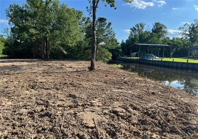 Homes for sale in Springfield, LA | Lot 53 Swamp Dr, Springfield, LA 70462 | MLS# 2488097