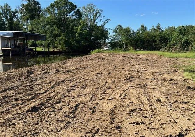 Homes for sale in Springfield, LA | Lot 53 Swamp Dr, Springfield, LA 70462 | MLS# 2488097