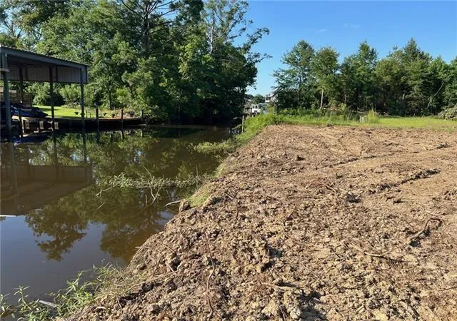 Homes for sale in Springfield, LA | Lot 53 Swamp Dr, Springfield, LA 70462 | MLS# 2488097