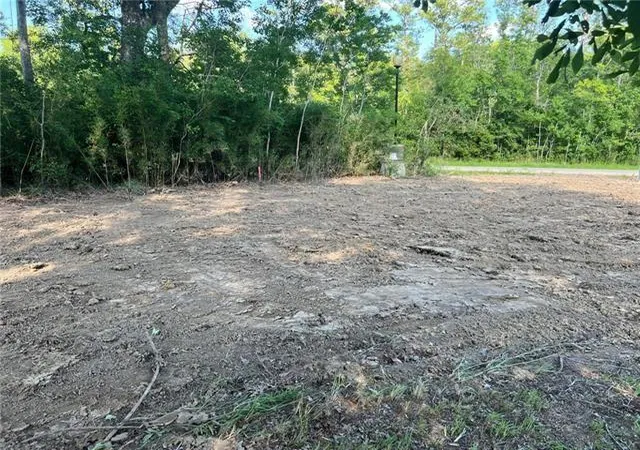 Homes for sale in Springfield, LA | Lot 58 Swamp Dr, Springfield, LA 70462 | MLS# 2488109