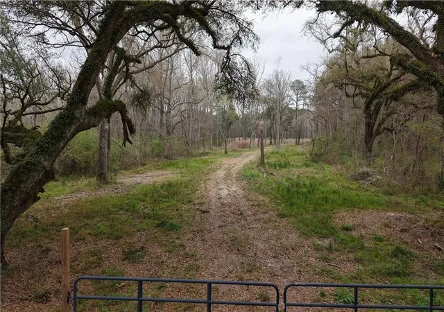 Photo 1 of Land for sale at 42632 N Thibodeaux Rd, Ponchatoula, LA 70454 | MLS# 2489339 | Listing updated on 2026-03-06