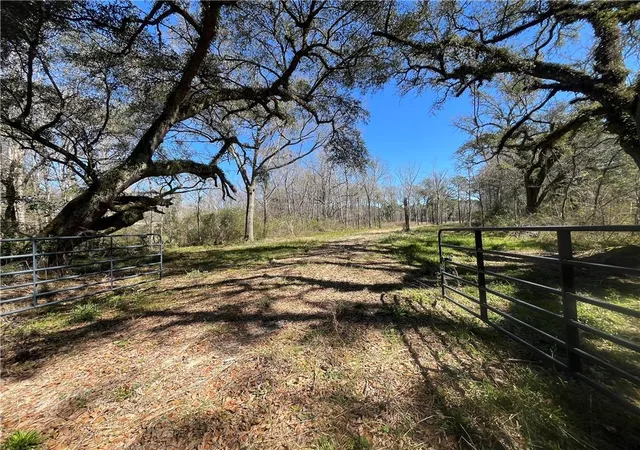 Photo 2 of Land for sale at 42632 N Thibodeaux Rd, Ponchatoula, LA 70454 | MLS# 2489339 | Listing updated on 2026-03-06