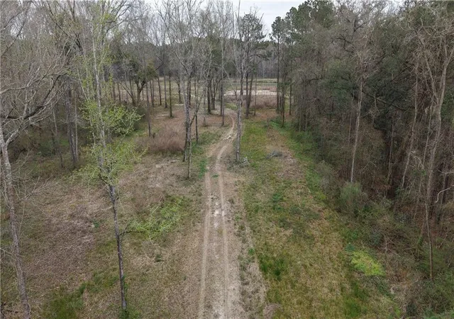 Photo 2 of Land for sale at 42632 N Thibodeaux Rd, Ponchatoula, LA 70454 | MLS# 2489339 | Listing updated on 2026-03-06