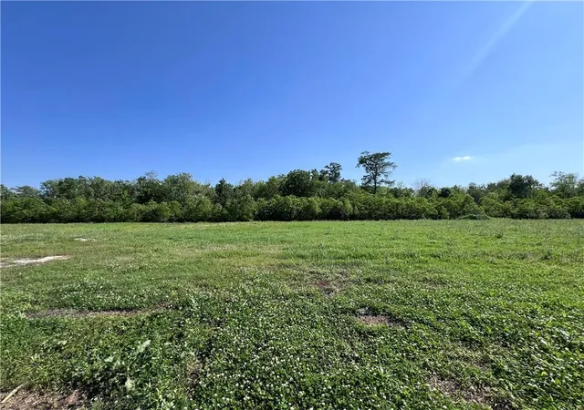 Homes for sale in Belle Chasse, LA | 114 Deer Field Dr, Belle Chasse, LA 70037 | MLS# 2496065