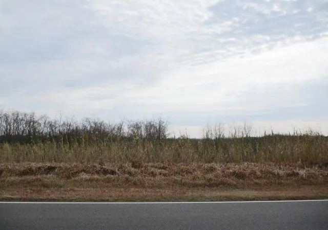 Photo 4 of Land for sale at E Howze Beach Rd, Slidell, LA 70461 | MLS# 2497661 | Listing updated on 2026-04-22