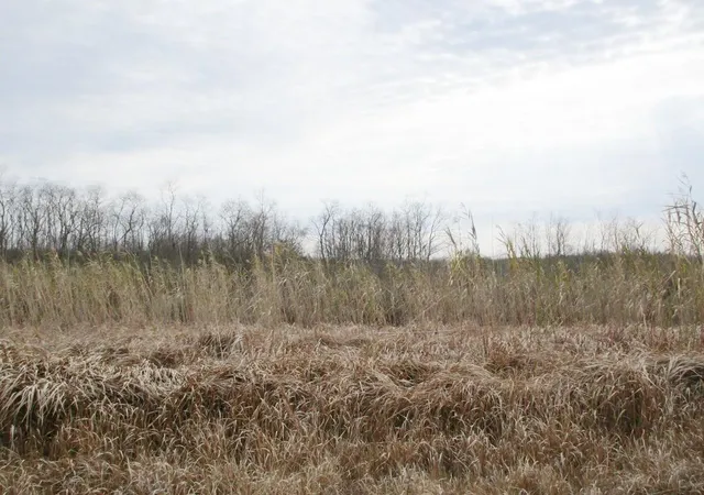 Photo 6 of Land for sale at E Howze Beach Rd, Slidell, LA 70461 | MLS# 2497661 | Listing updated on 2026-04-22