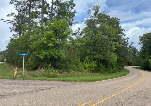 3rd image of 0 N 12th St, Covington, LA 70433 | MLS# 2498141