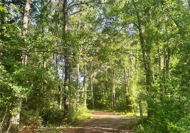 Photo 2 of Land for sale at Harry Lemons Rd, Mandeville, LA 70448 | MLS# 2506112 | Listing updated on 2026-07-06