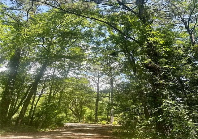 Photo 3 of Land for sale at Harry Lemons Rd, Mandeville, LA 70448 | MLS# 2506112 | Listing updated on 2026-07-06
