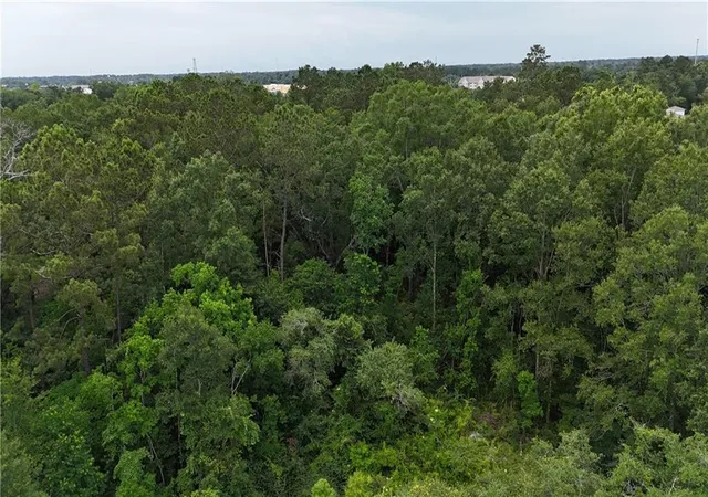 12th image of Hewitt Rd, Hammond, LA 70403 | MLS# 2506416
