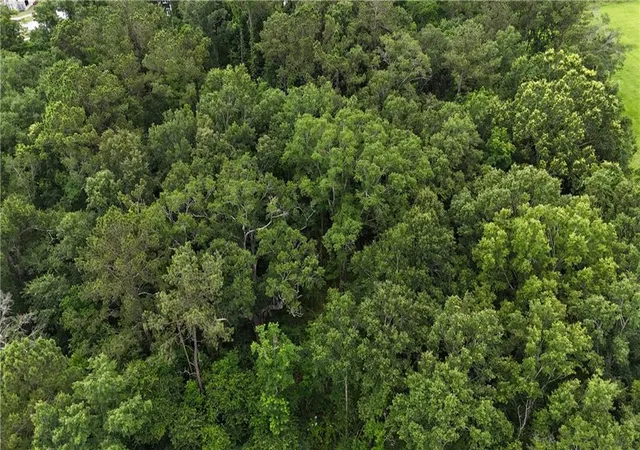 4th image of Hewitt Rd, Hammond, LA 70403 | MLS# 2506416