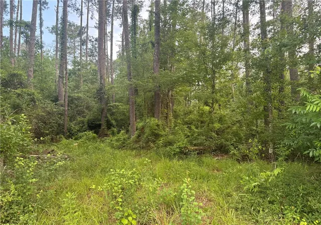 Homes for sale in Roseland, LA | Russell Town Rd, Roseland, LA 70456 | MLS# 2506625