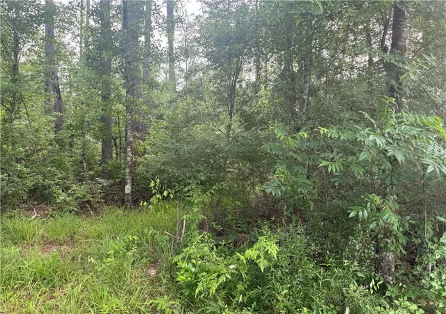 Photo 2 of Land for sale at Russell Town Rd, Roseland, LA 70456 | MLS# 2506625 | Listing updated on 2026-07-18