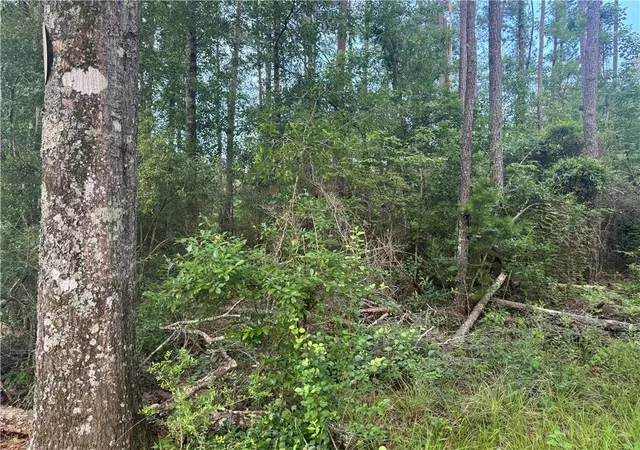 Photo 3 of Land for sale at Russell Town Rd, Roseland, LA 70456 | MLS# 2506625 | Listing updated on 2026-07-18