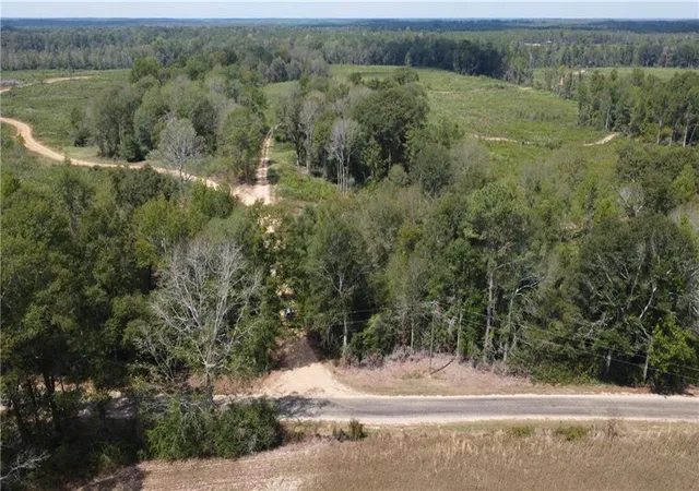 1st image of 232 Acres Chess Bankston Rd, Franklinton, LA 70438 | MLS# 2507933