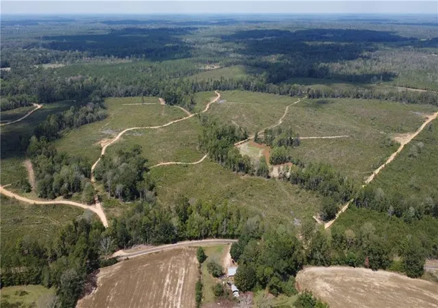 3rd image of 232 Acres Chess Bankston Rd, Franklinton, LA 70438 | MLS# 2507933
