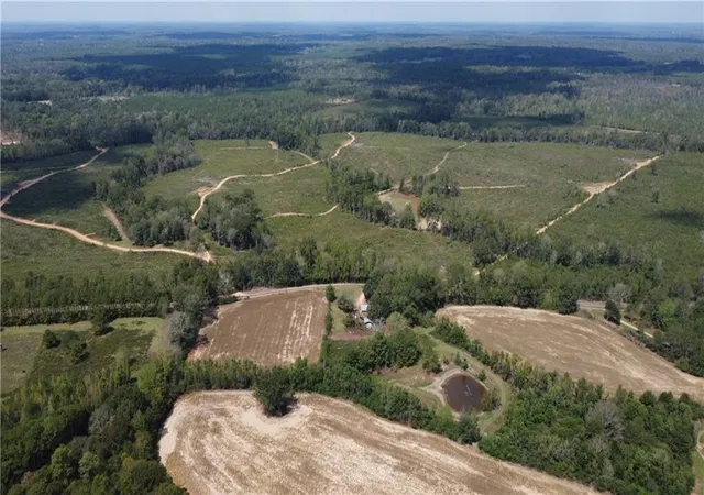 4th image of 232 Acres Chess Bankston Rd, Franklinton, LA 70438 | MLS# 2507933