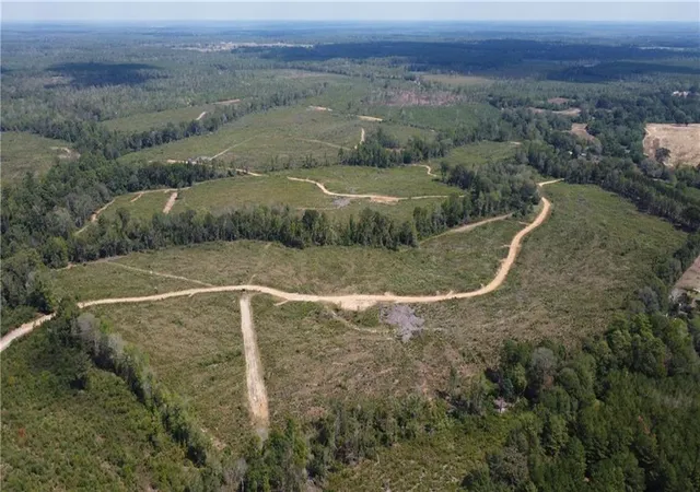 5th image of 232 Acres Chess Bankston Rd, Franklinton, LA 70438 | MLS# 2507933
