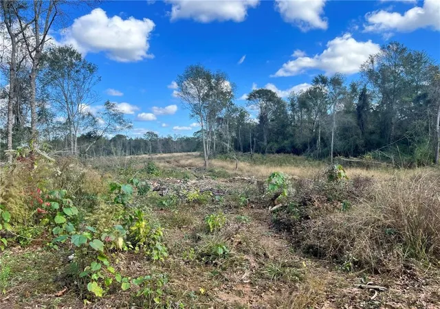 9th image of 232 Acres Chess Bankston Rd, Franklinton, LA 70438 | MLS# 2507933
