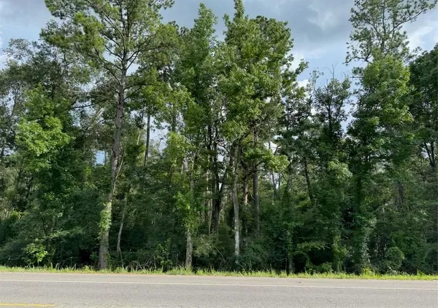 Homes for sale in Holden, LA | Bp 7 Hwy 190, Holden, LA 70744 | MLS# 2508093
