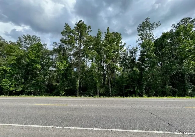 Homes for sale in Holden, LA | Bp-7 Hwy 190, Holden, LA 70744 | MLS# 2508093
