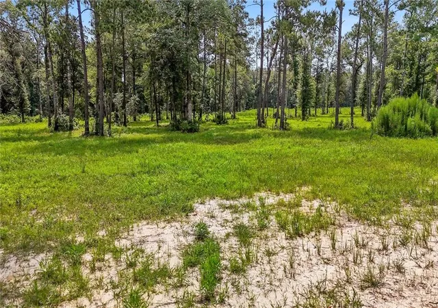 Homes for sale in Ponchatoula, LA | 39492 Lee's Landing Rd, Ponchatoula, LA 70454 | MLS# 2512026