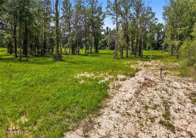 Homes for sale in Ponchatoula, LA | 39560 Lee'S Landing Rd, Ponchatoula, LA 70454 | MLS# 2512040
