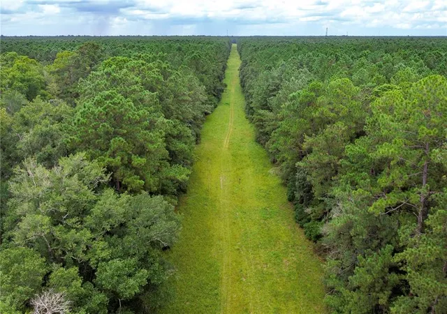 Photo 2 of Land for sale at 873 Acres Wonie Cousin Rd, Lacombe, LA 70445 | MLS# 2512509 | Listing updated on 2026-07-21