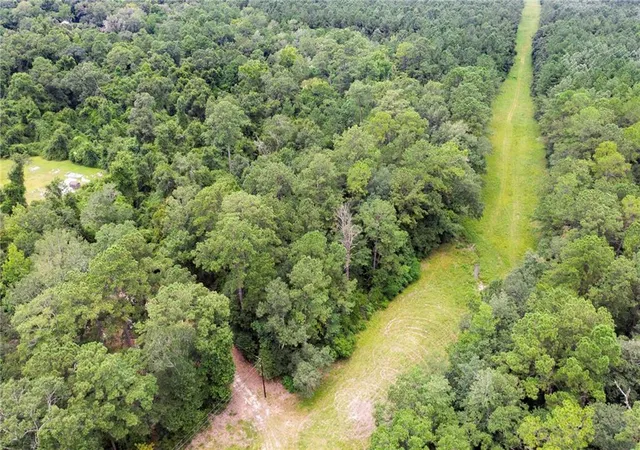Photo 4 of Land for sale at 873 Acres Wonie Cousin Rd, Lacombe, LA 70445 | MLS# 2512509 | Listing updated on 2026-07-21
