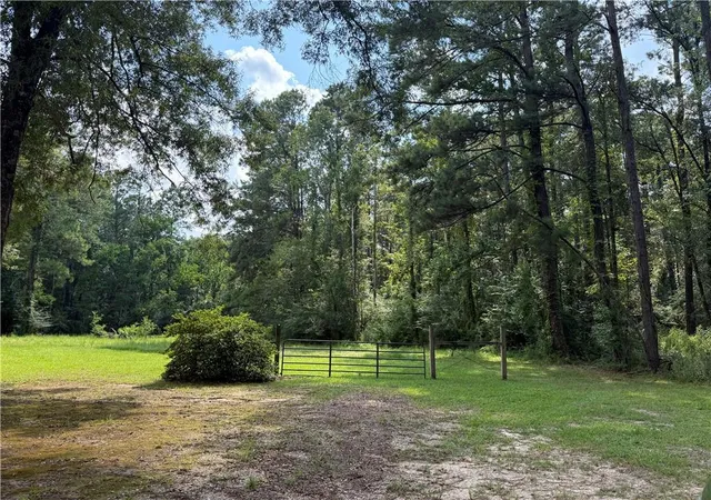 Photo 3 of Land for sale at 2392 Acres Section 40 5 7, Independence, LA 70443 | MLS# 2512426 | Listing updated on 2026-07-23