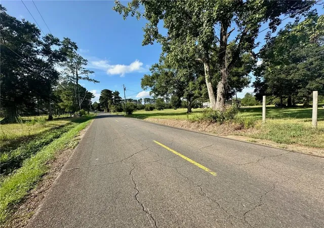 Homes for sale in Independence, LA | Old Us 51 Hwy, Independence, LA 70443 | MLS# 2515691