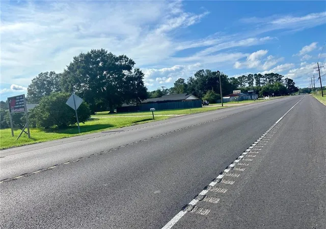 Homes for sale in Independence, LA | Old Us 51 Hwy, Independence, LA 70443 | MLS# 2515691