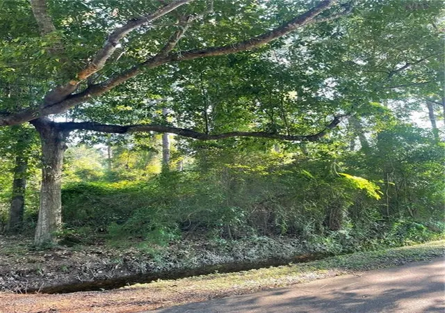 5th image of Lots 24 & 25 Spruce Dr, Covington, LA 70433 | MLS# 2518505