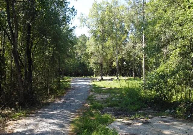 Homes for sale in Independence, LA | 27184 Horseshoe Rd, Independence, LA 70443 | MLS# 2520362