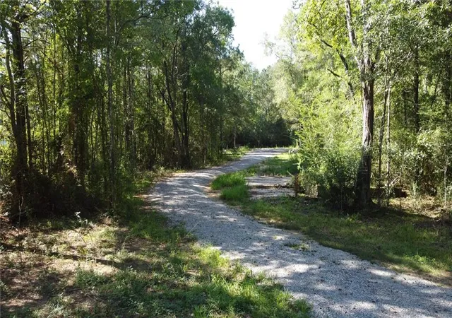 Homes for sale in Independence, LA | 27184 Horseshoe Rd, Independence, LA 70443 | MLS# 2520362
