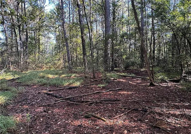 Photo 4 of Land for sale at Lot B Dove Park Rd, Covington, LA 70433 | MLS# 2520914 | Listing updated on 2026-07-10